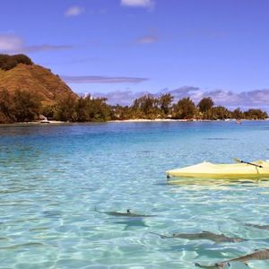 Meet your Posher, Diana